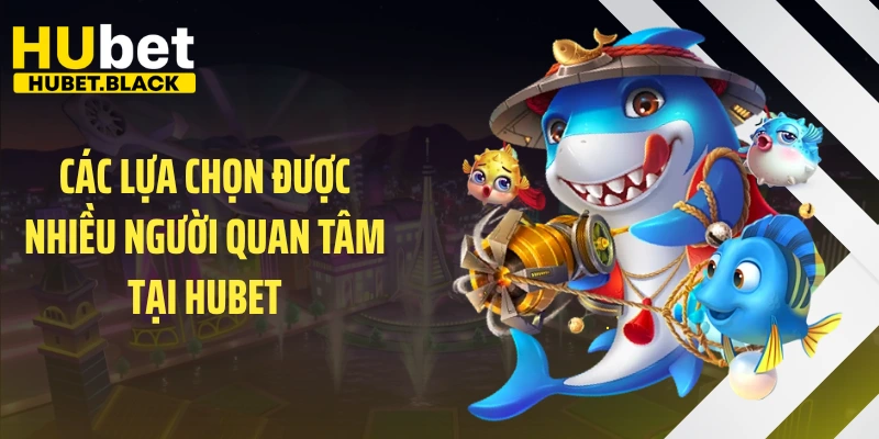 Các lựa chọn được nhiều người quan tâm tại HUBET